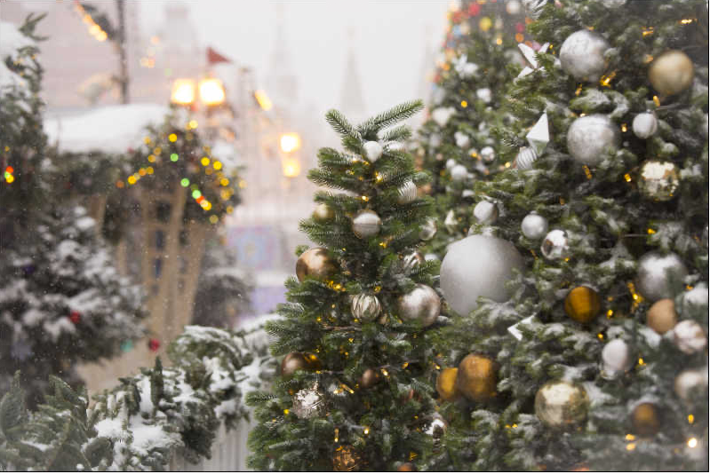 Christmas Trees
