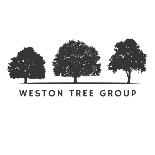 Weston Tree group