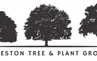 Weston tree and plant group