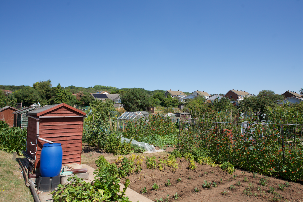 Redpits allotments in Weston-super-Mare.