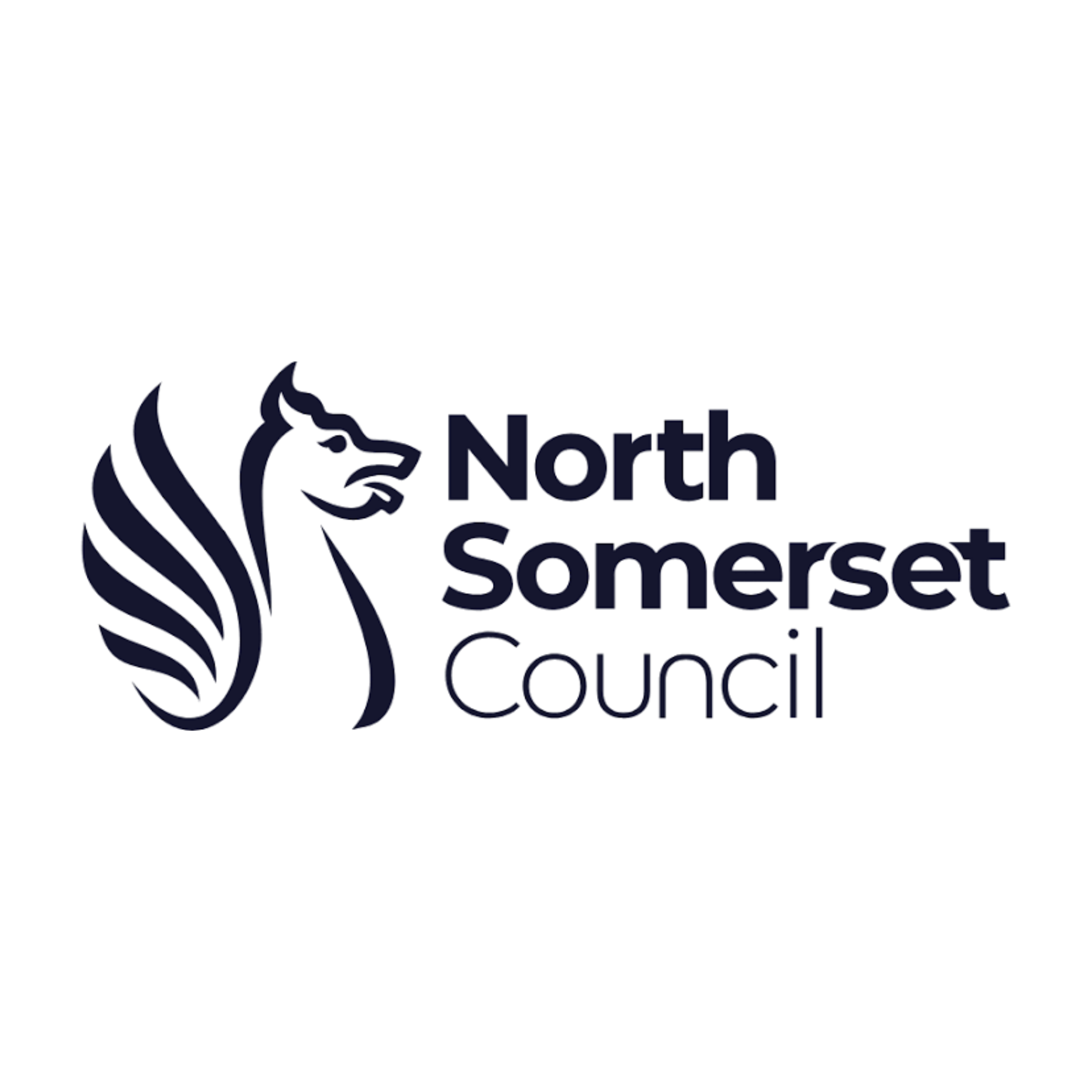 Community Engagement (17)